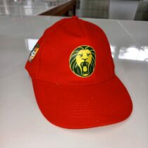 casquette lions indomptables