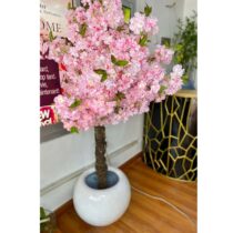 Plantes Mini Cherry Blossom DÃ©coratifs + Pots de Fleurs pour Plantes