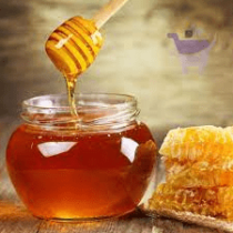 Miel Pur - 1L