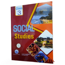 Social Studies - Class 3 - Global industries