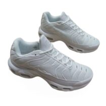 Basket Nike Air Max